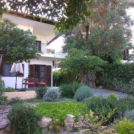 Neria Summer Houses Chaniotis Exterior foto